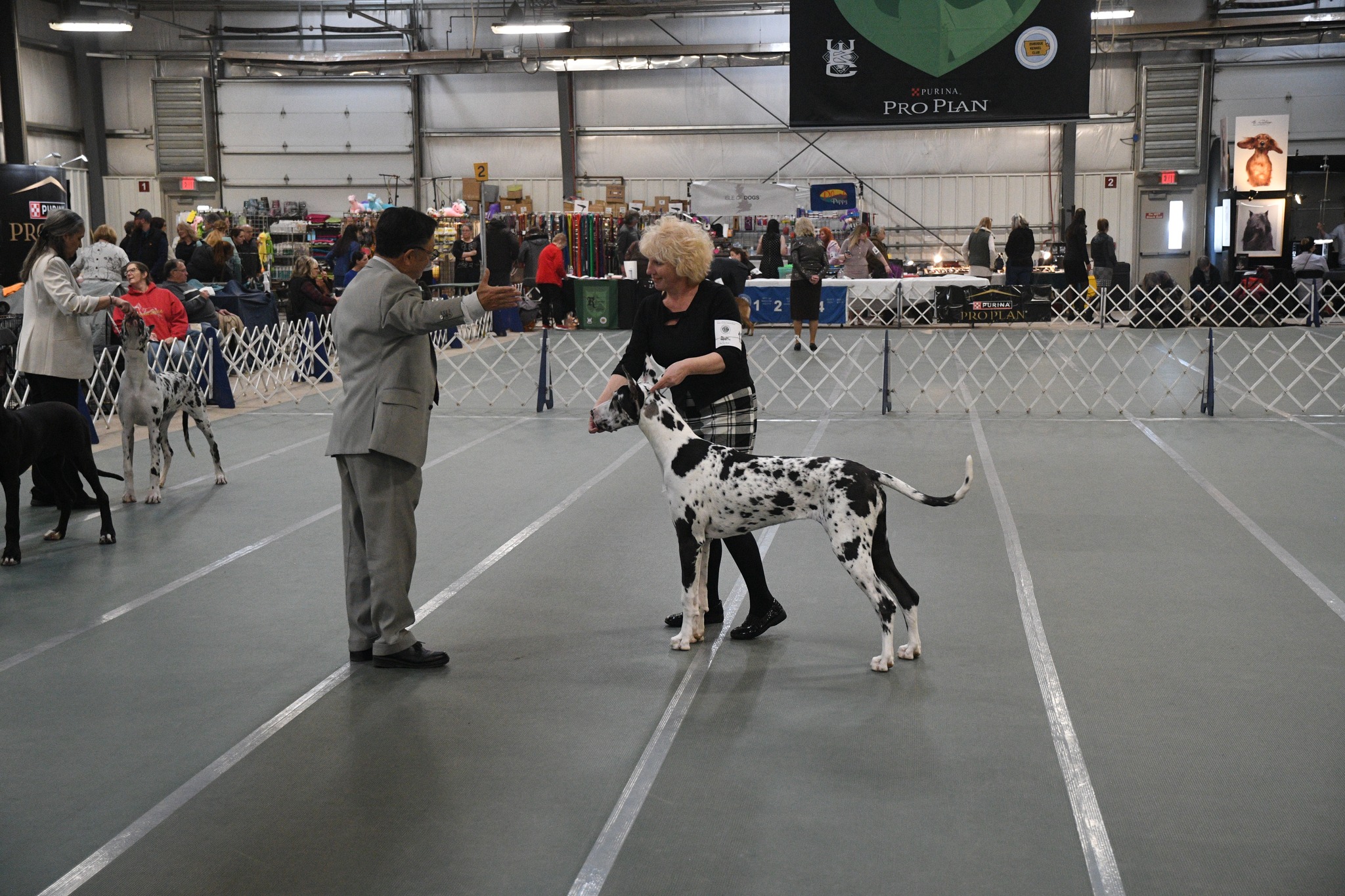 2025 Specialty Show
